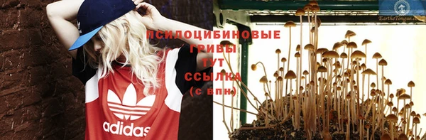 меф Дмитровск